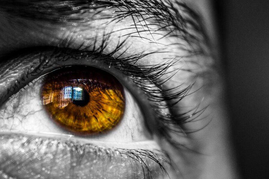 découvrez l'univers fascinant des couleurs des yeux ! apprenez-en davantage sur les différentes teintes, leurs significations et comment elles peuvent refléter la personnalité. explorez les subtilités des yeux bleus, verts, marron et bien d'autres, tout en plongeant dans les aspects génétiques qui les déterminent.