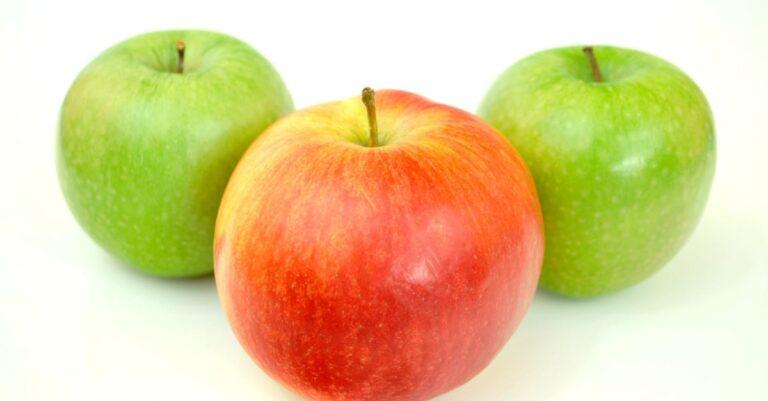 découvrez tout sur les pommes : leurs variétés, bienfaits pour la santé, recettes savoureuses et conseils de conservation. régalez-vous avec ce fruit incontournable et apprenez à le sublimer en cuisine !