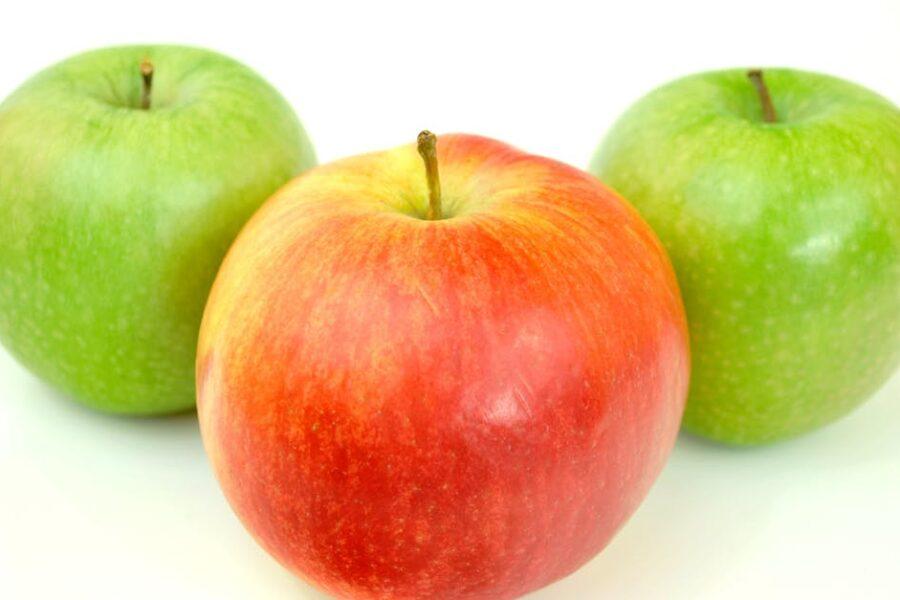 découvrez tout sur les pommes : leurs variétés, bienfaits pour la santé, recettes savoureuses et conseils de conservation. régalez-vous avec ce fruit incontournable et apprenez à le sublimer en cuisine !