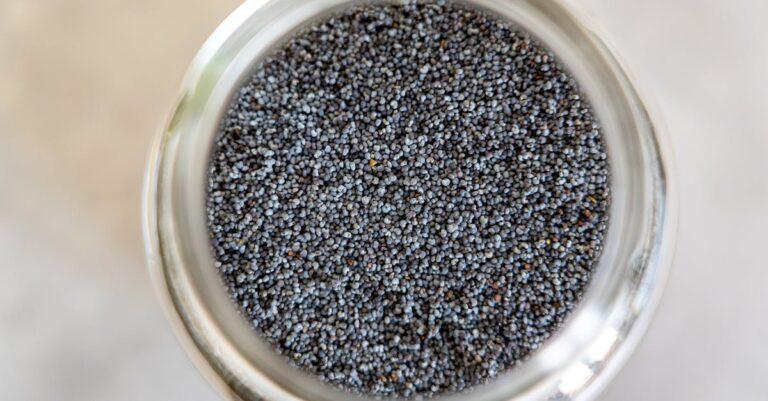 découvrez les bienfaits des graines de chia, riches en oméga-3, protéines et antioxydants. intégrez-les facilement dans votre alimentation pour une santé optimale et des recettes délicieuses.