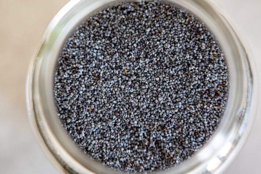 découvrez les bienfaits des graines de chia, riches en oméga-3, protéines et antioxydants. intégrez-les facilement dans votre alimentation pour une santé optimale et des recettes délicieuses.