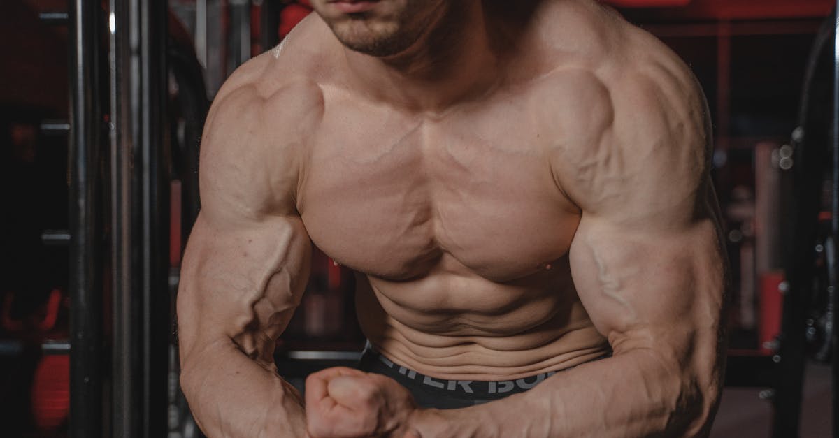 découvrez tout sur les pectoraux : exercices efficaces, conseils pour les développer et astuces pour améliorer votre routine d'entraînement. que vous soyez débutant ou passionné de fitness, apprenez à sculpter cette partie essentielle de votre corps.